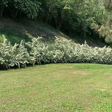 Podere Campofossato Πιστόια Εξωτερικό φωτογραφία
