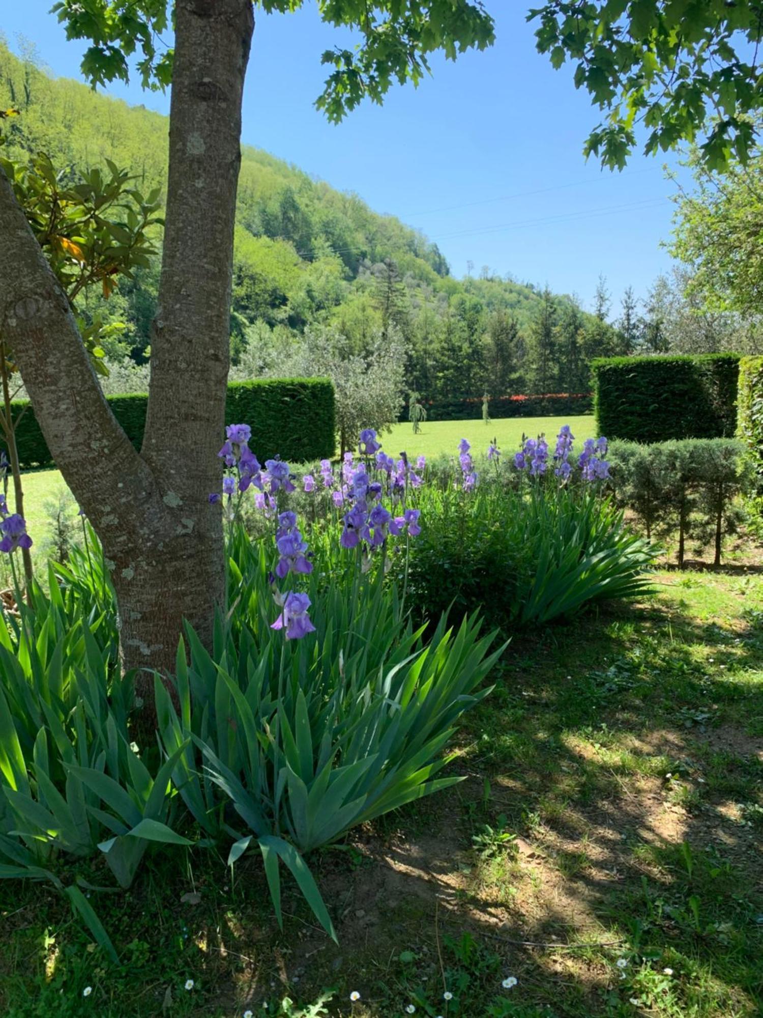 Podere Campofossato Πιστόια Εξωτερικό φωτογραφία