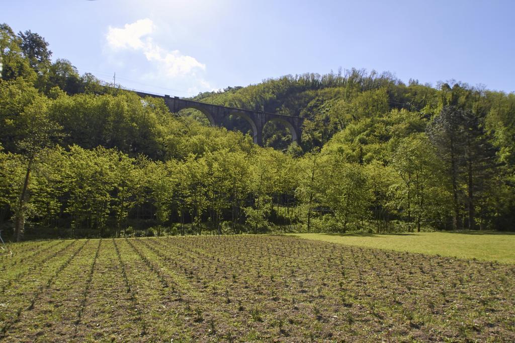 Podere Campofossato Πιστόια Εξωτερικό φωτογραφία