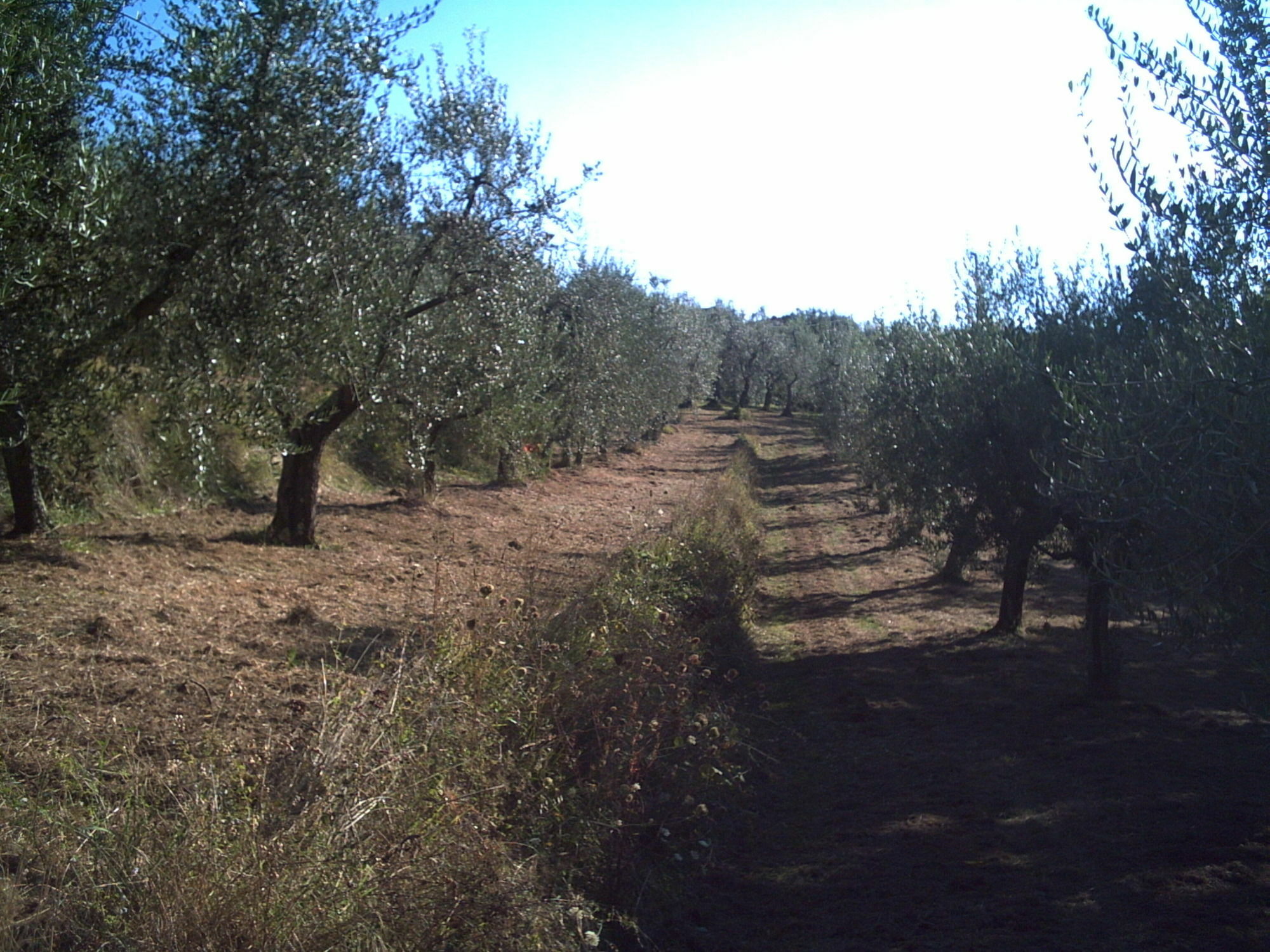 Podere Campofossato Πιστόια Εξωτερικό φωτογραφία
